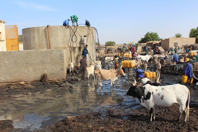 Article : Forage de Niassant&eacute; : Le sens d&rsquo;une existence villageoise